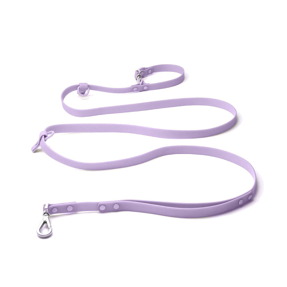 Leash