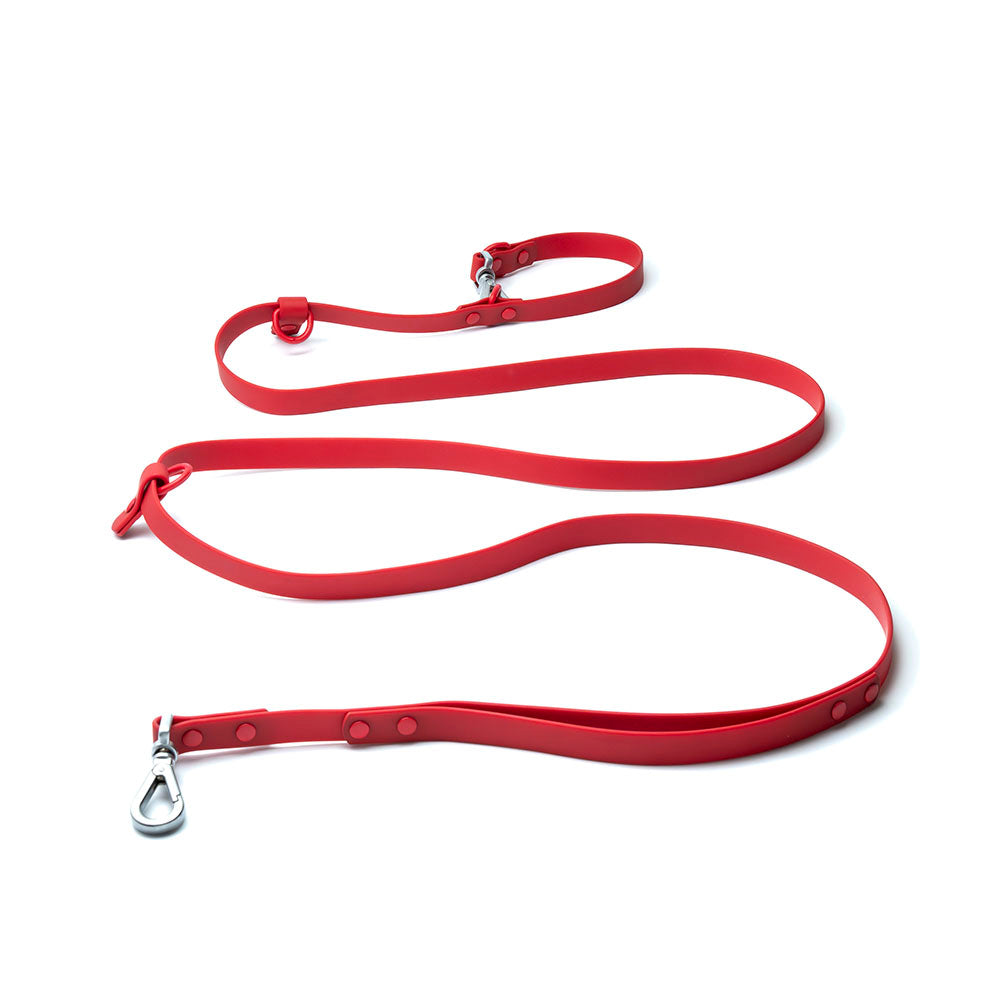 Leash