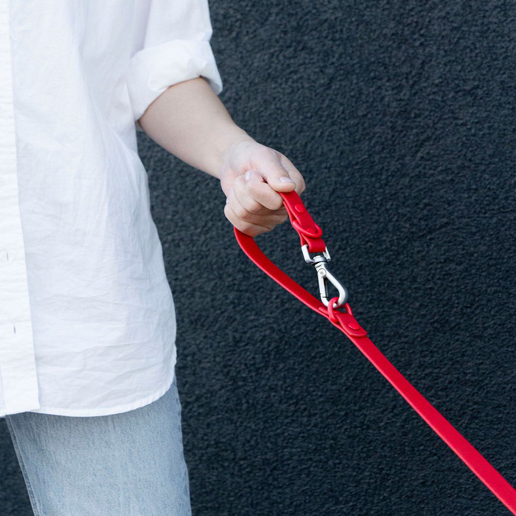 PVC Leash 7.7 ft