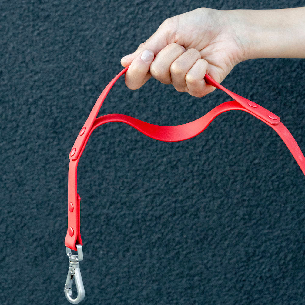 PVC Leash 7.7 ft