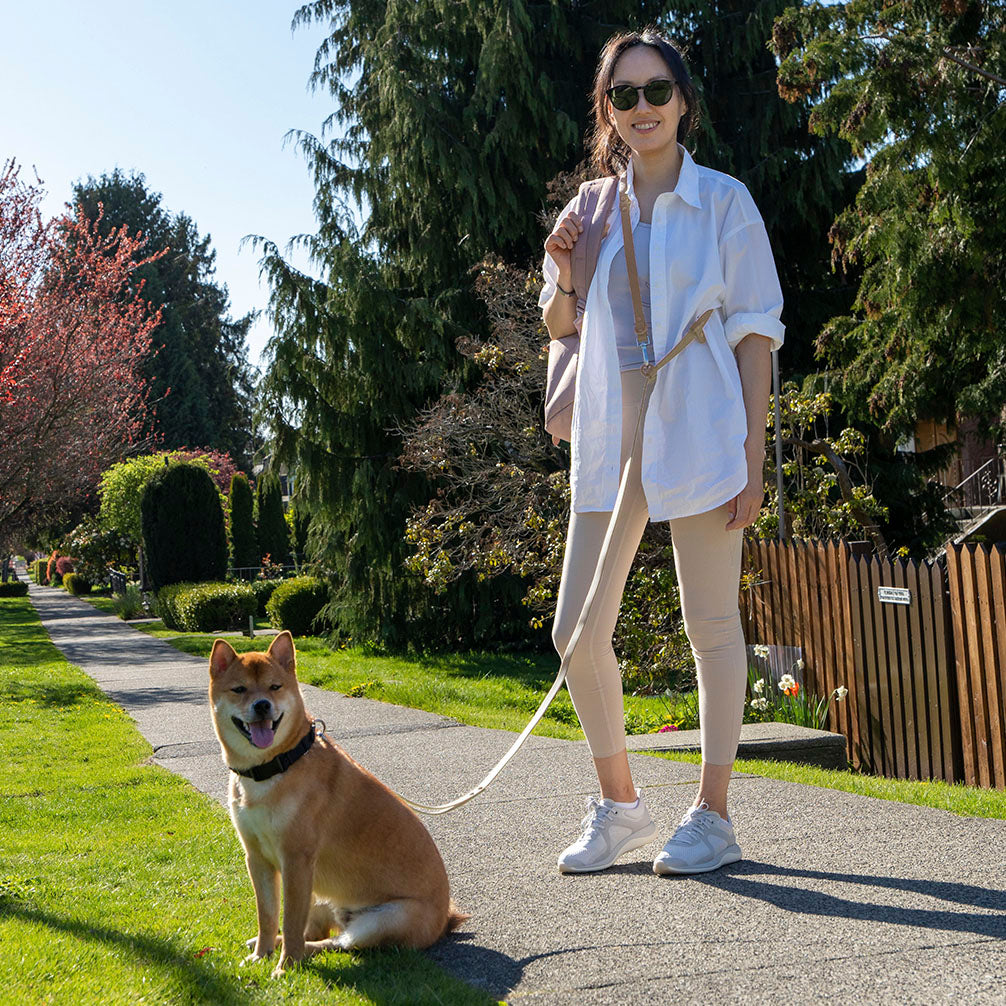 Leash