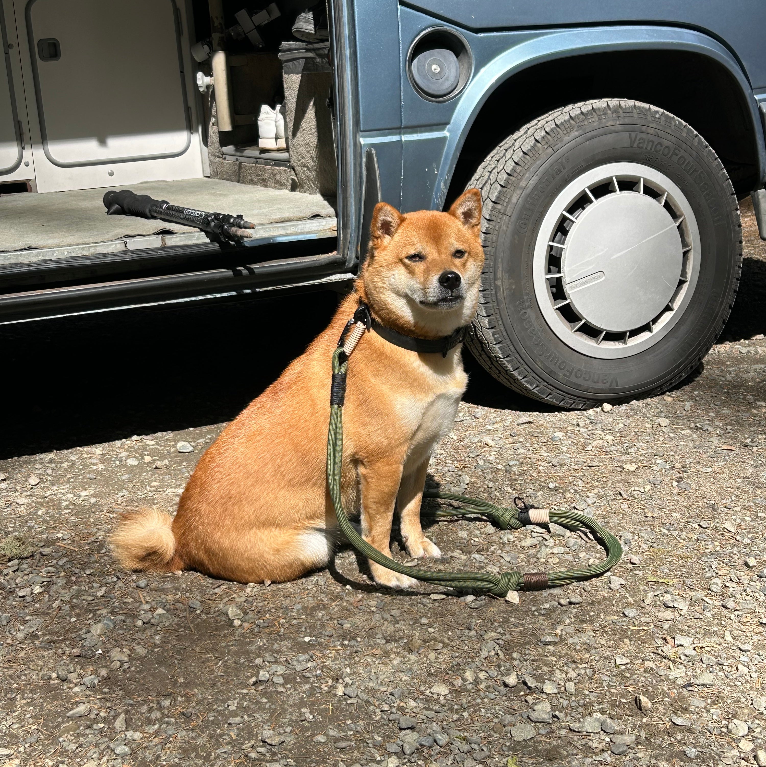 Handmade Paracord Leash 4ft