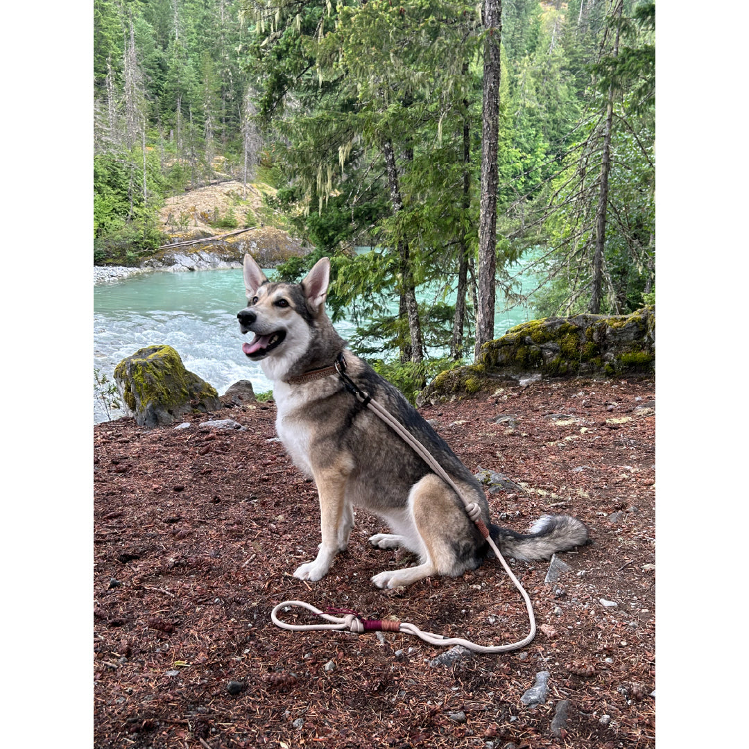 Handmade Adjustable Paracord Leash 4ft - 6ft